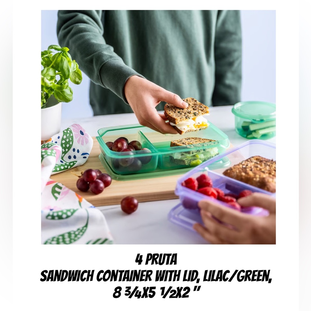 Sandwich Container with Lid - Lilac/Green (Set of 4)